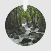 Bridalveil Creek in Yosemite National Park Ornament (voorkant)