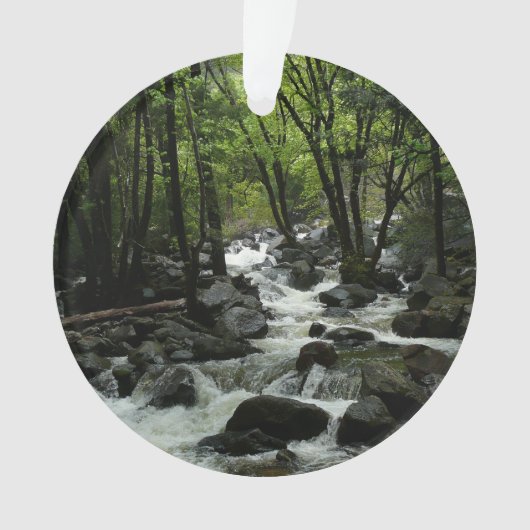 Bridalveil Creek in Yosemite National Park Ornament (voorkant)