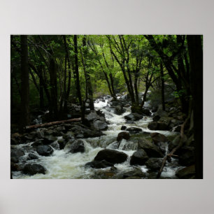 Bridalveil Creek in Yosemite National Park Poster
