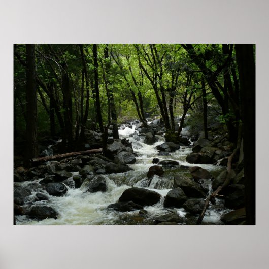 Bridalveil Creek in Yosemite National Park Poster (Voorkant)