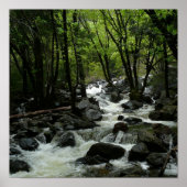 Bridalveil Creek in Yosemite National Park Poster (Voorkant)
