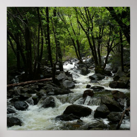 Bridalveil Creek in Yosemite National Park Poster (Voorkant)