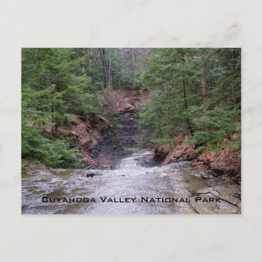 Bridalveil Herfsten Briefkaart (Voorkant)