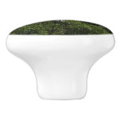 Bridalveil-Herfsten in het Nationaal Park Yosemite Keramische Knop (Zijkant)