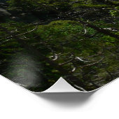 Bridalveil-Herfsten in het Nationaal Park Yosemite Poster (Hoek)