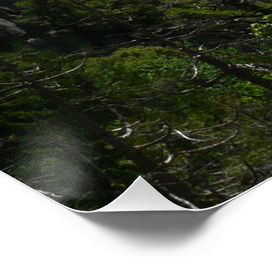 Bridalveil-Herfsten in het Nationaal Park Yosemite Poster (Hoek)