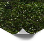 Bridalveil-Herfsten in het Nationaal Park Yosemite Poster (Hoek)