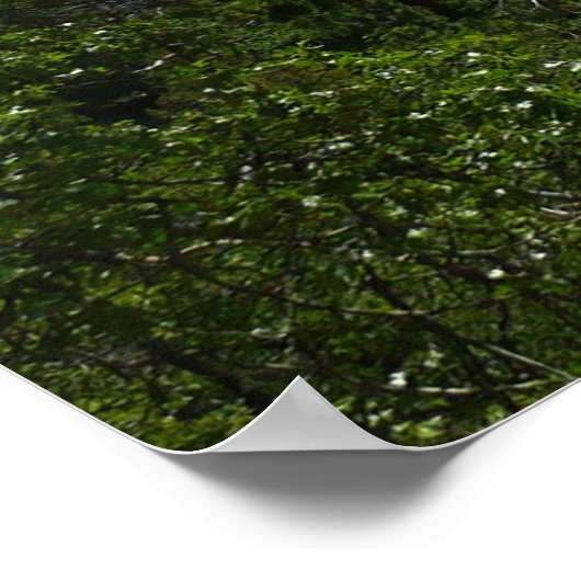 Bridalveil-Herfsten in het Nationaal Park Yosemite Poster (Hoek)