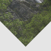 Bridalveil-Herfsten in het Nationaal Park Yosemite Tissuepapier (Detail)