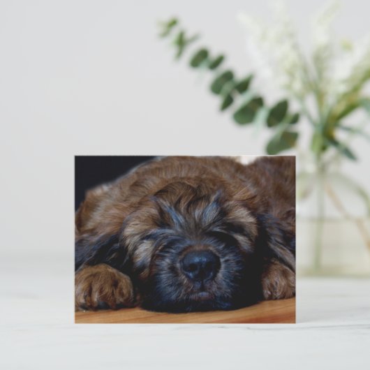 briddepuppy briefkaart (Staand voorkant)