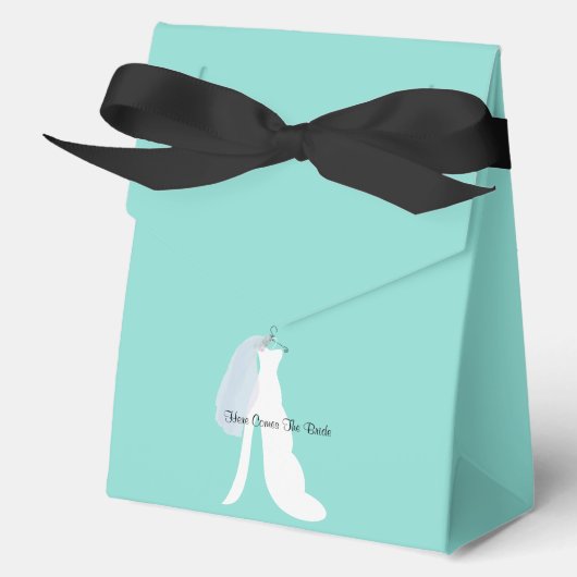 BRIDE & CO hier komt de Bride Shower Party Bedankdoosjes (Voorkant)