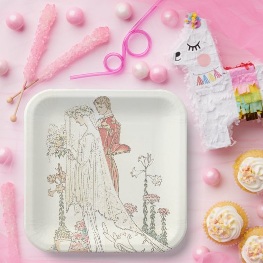  bride en bruidebruine bruiloft papieren bordje (Feest)