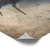 Bride of Dagon Poster (Hoek)