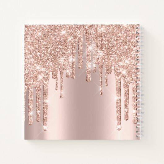 Bride om 16e roze prinses Makeup te zijn Notitieboek (Achterkant)