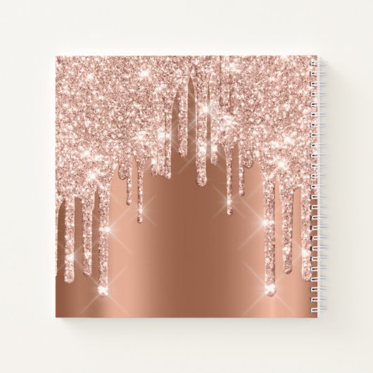 Bride om 16th Roos prinses Makeup te zijn Notitieboek (Achterkant)