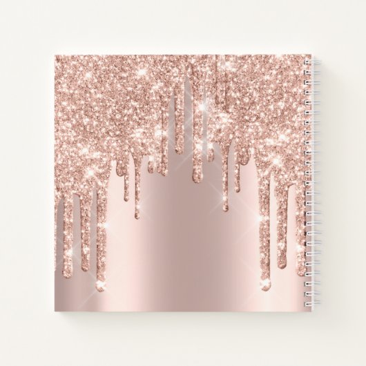 Bride om 16th Spark Princess Makeup Roos te zijn Notitieboek (Achterkant)