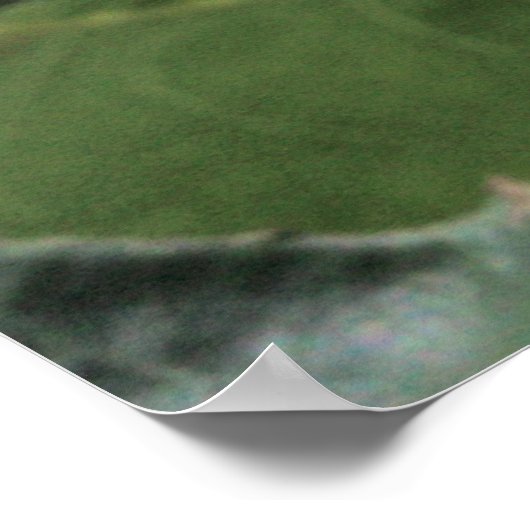 Bride's Dream Roos Bud Poster (Hoek)