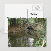 Bridge-Briefkaart Briefkaart (Voorkant / Achterkant)