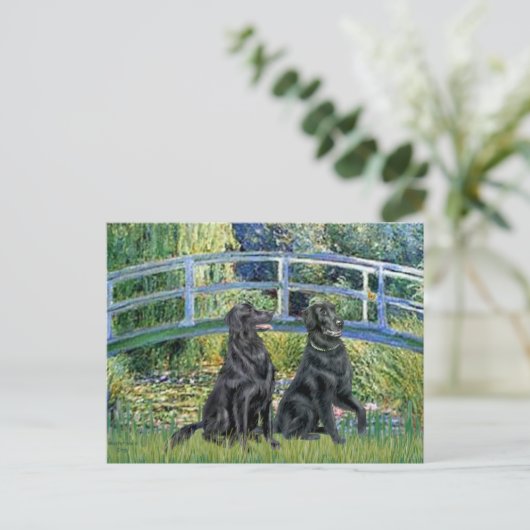 Bridge - Flat Coated Retriever (twee) Briefkaart (Staand voorkant)