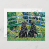 Bridge - Flat Coated Retriever (twee) Briefkaart (Voorkant / Achterkant)