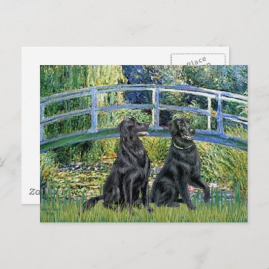 Bridge - Flat Coated Retriever (twee) Briefkaart (Voorkant / Achterkant)