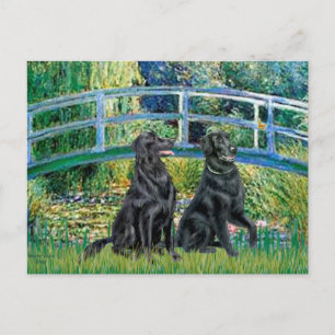 Bridge - Flat Coated Retriever (twee) Briefkaart