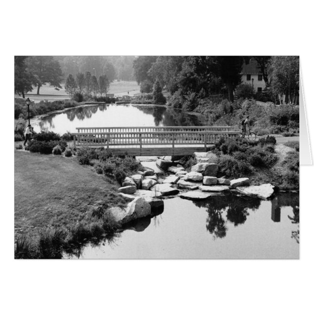 Bridge in CT-kaart (Voorkant Horizontaal)