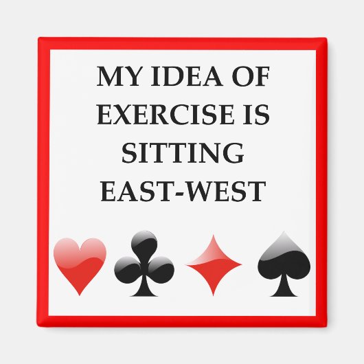 BRIDGE MAGNEET (Voorkant)