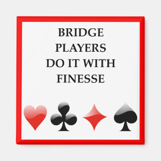 BRIDGE MAGNEET