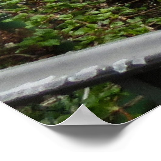 Bridge of Flowers Poster (Hoek)