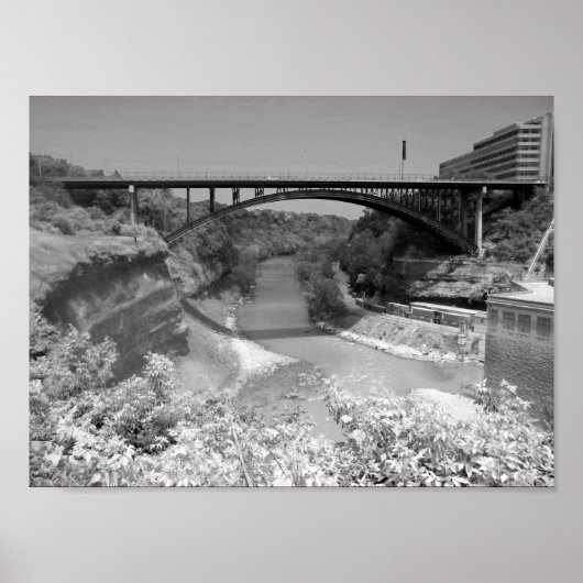 Bridge over River Gorge-foto Poster (Voorkant)
