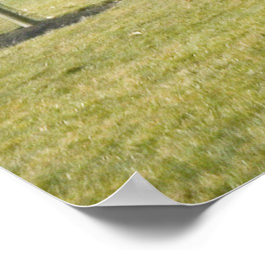 Bridge Over Scioto River Poster (Hoek)