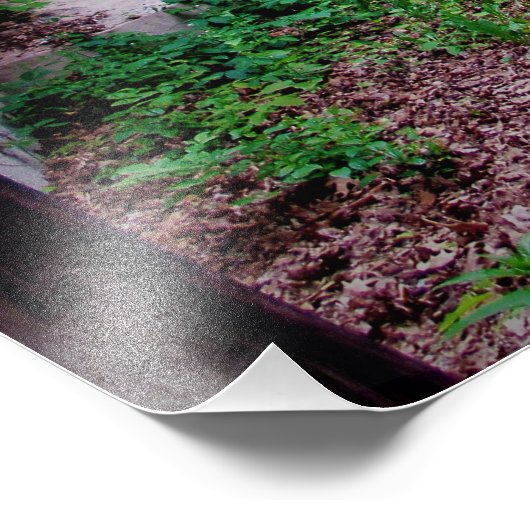 "Bridge Over Trolly Tracks" Fotoprint Foto Afdruk (Hoek)