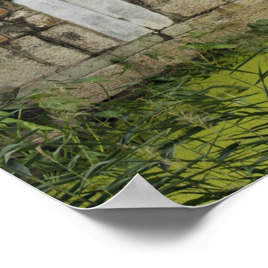 Bridge, Summer Palace, Beijing, China Poster (Hoek)