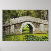 Bridge, Summer Palace, Beijing, China Poster (Voorkant)