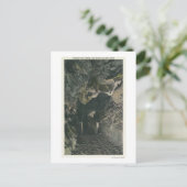 Bridge under Balance Rock Uitzicht Briefkaart (Staand voorkant)