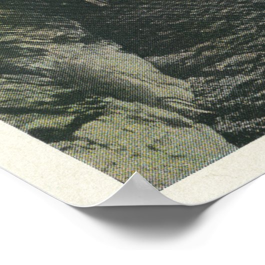 Bridge under Balance Rock Uitzicht Poster (Hoek)