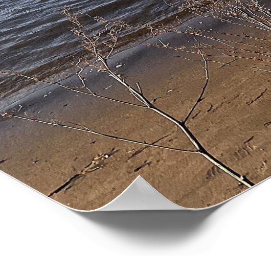 Bridge Waterscape Photo Poster (Hoek)