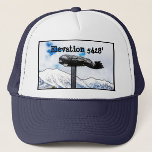 Bridger Bowl Whale Trucker Pet