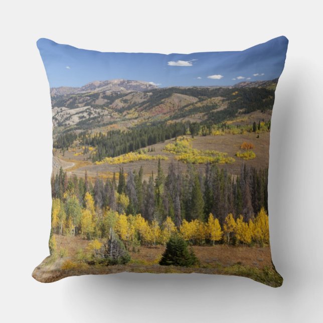 Bridger-Teton National Forest Kussen (Voorkant)