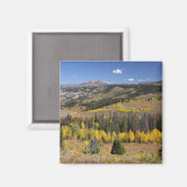 Bridger-Teton National Forest Magneet (Voorkant / Achterkant)