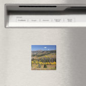 Bridger-Teton National Forest Magneet (Insitu (Vaatwasser))