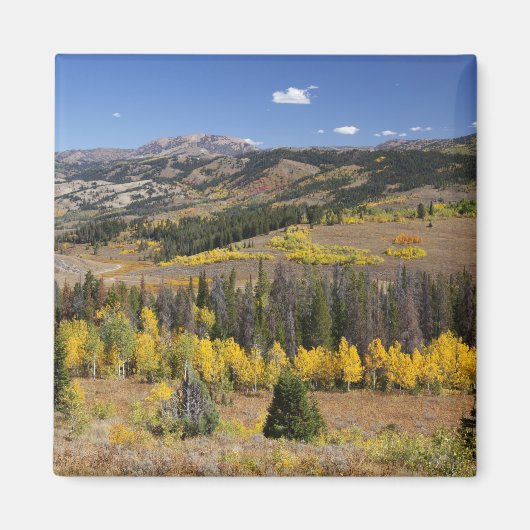 Bridger-Teton National Forest Magneet (Voorkant)