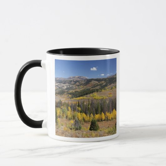 Bridger-Teton National Forest Mok (Links)