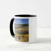 Bridger-Teton National Forest Mok (Voorkant links)