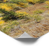 Bridger-Teton National Forest Poster (Hoek)