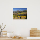 Bridger-Teton National Forest Poster (Keuken)