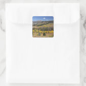 Bridger-Teton National Forest Vierkante Sticker (Tas)