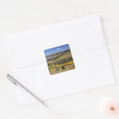 Bridger-Teton National Forest Vierkante Sticker (Envelop)