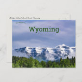 Bridger Teton National Forest Wyoming Briefkaart (Voorkant / Achterkant)